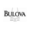 Imagen de Reloj Bulova 97L134